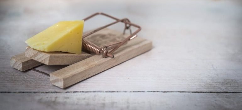 A mouse trap.