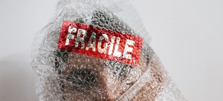 a guy wrapped in bubble wrap