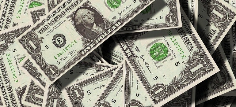 A pile of dollar bills.