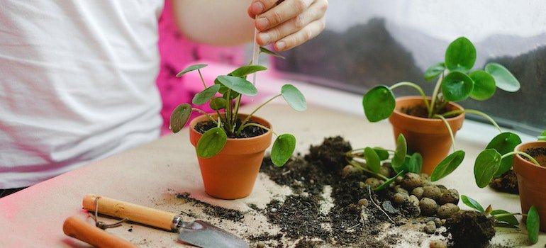 Person doing gardening
