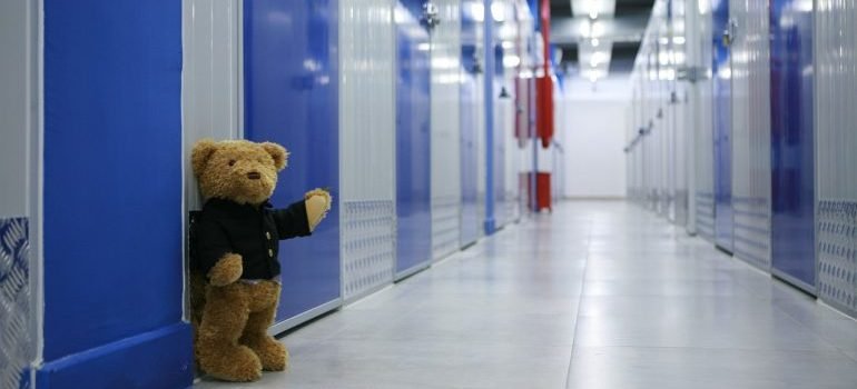 a teddy bear in the self storage Long Island City