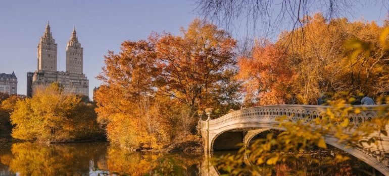 Autumn in NYC