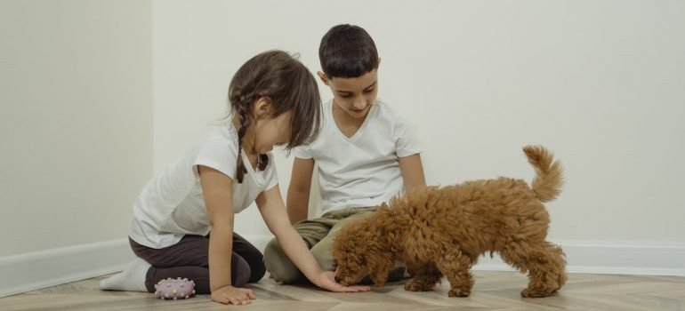 Kids and a dog