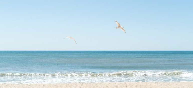 Beach