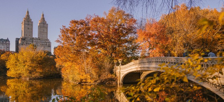 Central Park in the fall