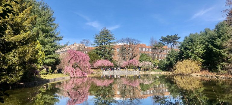 part of Brooklyn Botanic Garden