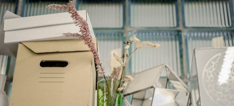 The cardboard box on the shelf placed in one of the storage units Co Op City locals recommend.