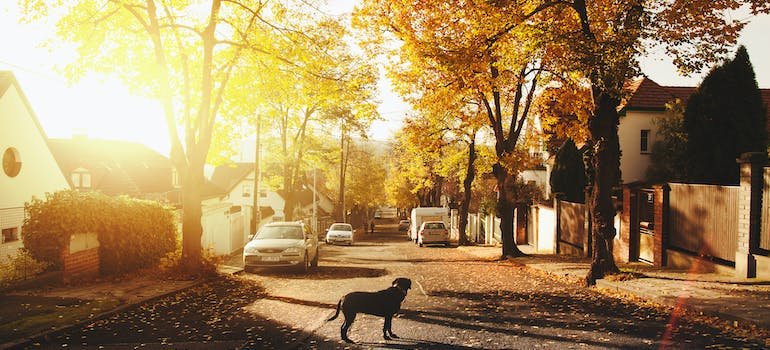 a street in the suburbs