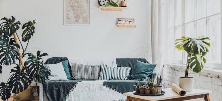 A living room with plants