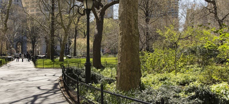Central Park in Manhattan