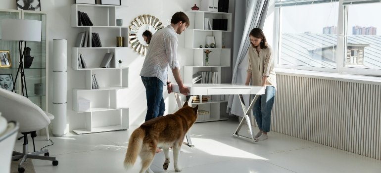 A couple and a dog involved in home organization after moving from Wakefield to Castle Hill.
