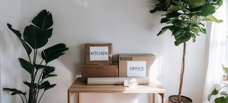 Two plants on the floor and labeled cardboard boxes on the table.