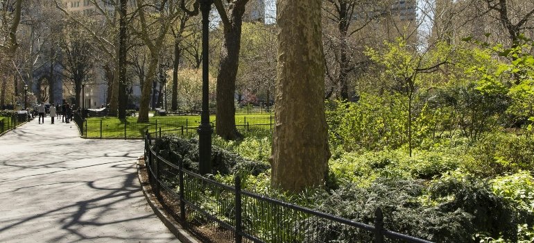 A pathway in Central Park