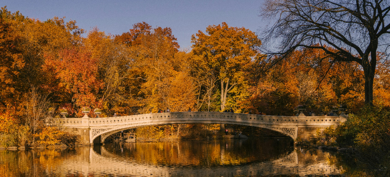 A bridge in Central Park
