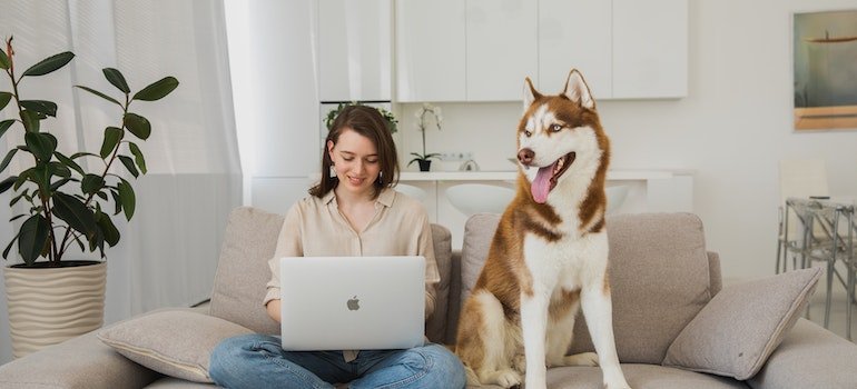 A woman sitting on a sofa with her dog and doing research on misconceptions about storage units in NYC on her laptop.