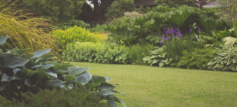 assorted plants with nice mown grass and trees