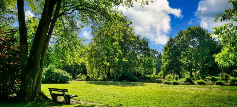 A park with greenery, showing Staten Island real estate trends for homes near nature.