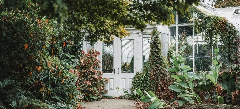 A lush greenhouse in Van Cortlandt Park, showcasing the green escapes available to those living and working in the Bronx.