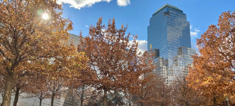 World Trade Center during fall.