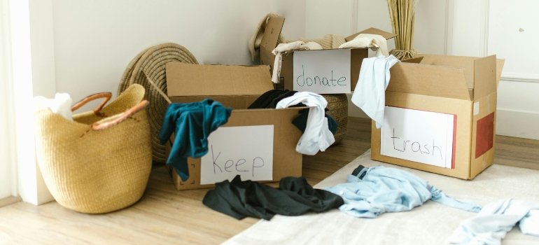 Clothing arranged in labeled boxes, a tip every NYC renter should know before moving out.
