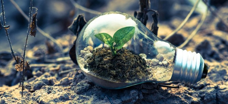 Transparent lightbulb filled with soil and a small sprout.