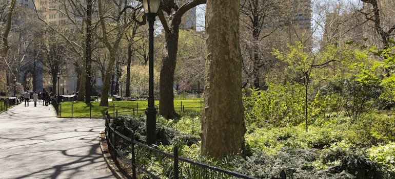 Central Park in NYC