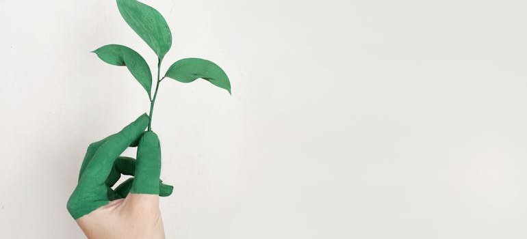 a plant in a painted hand