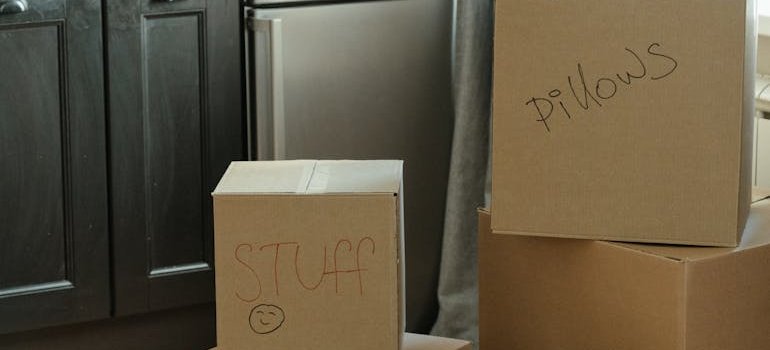 A couple of boxes with the labels written on them.