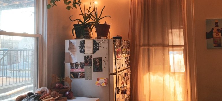 A refrigerator with pictures and plants on it and two windows, light as one of the decorating tips for your new Manhattan apartment to feel more comfortable