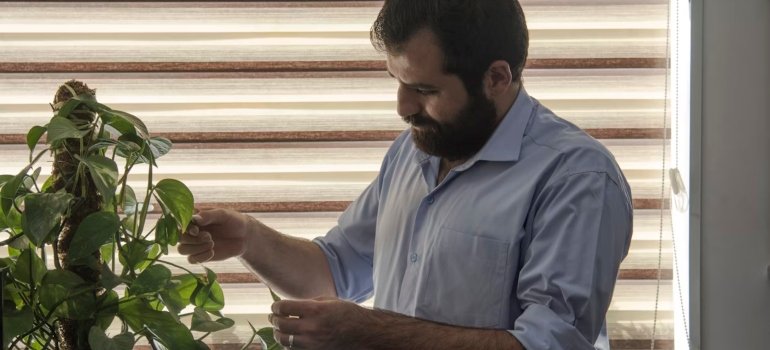A person standing next to a plant, prepare your plants if you want to relocate your indoor garden to Manhattan