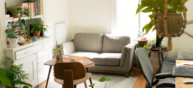 A couch, chair, plants, shelves, a table in a small room