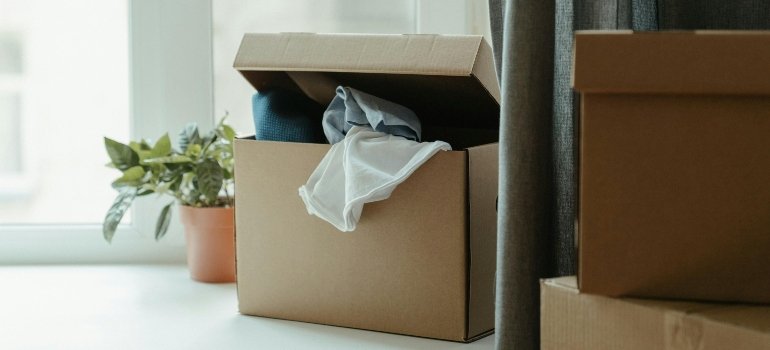 A box with clothes placed on a window sill next to a plant, showing partial unpacking after a move.