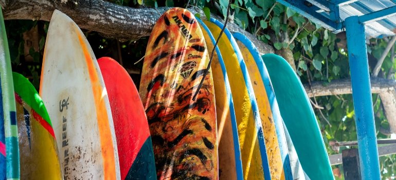 Various surfboards leaning against a rack under shade by the beach.