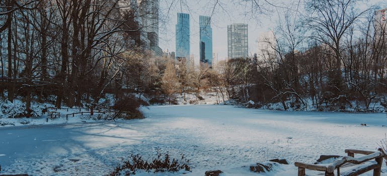 A winter in NYC