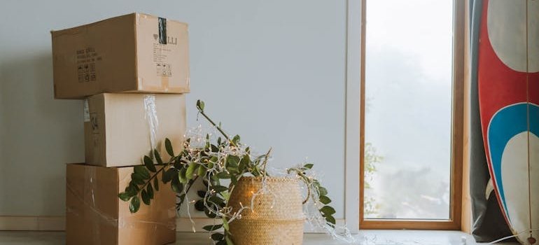Boxes next to the door