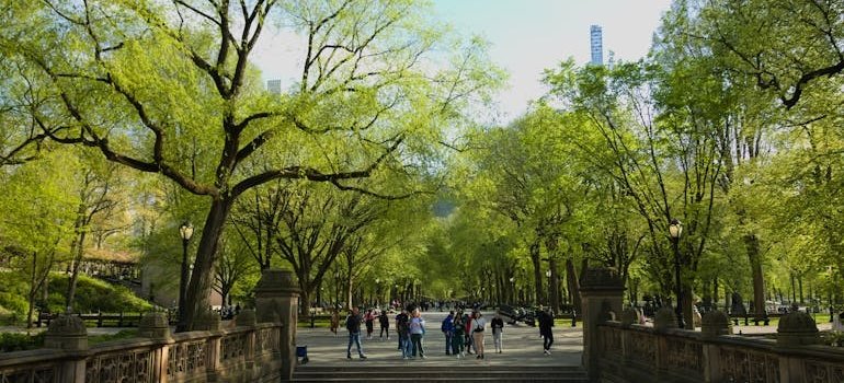 A park in NYC