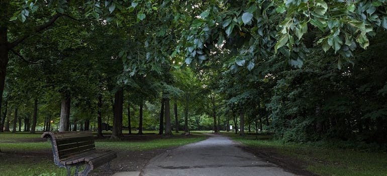 A park in Bronx