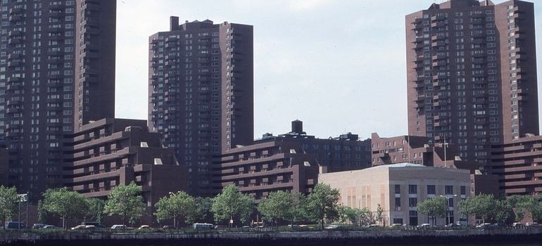 Buildings in Bronx