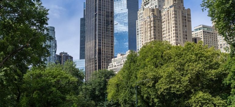 The park in NYC
